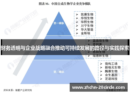财务透明与企业战略融合推动可持续发展的路径与实践探索