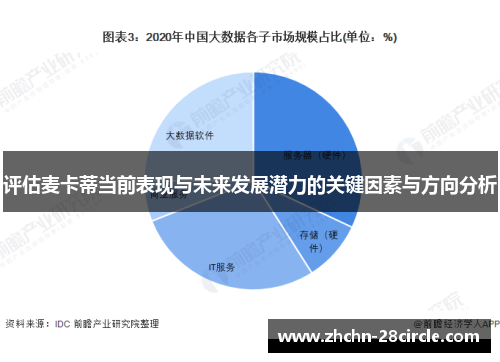 评估麦卡蒂当前表现与未来发展潜力的关键因素与方向分析 评估麦卡蒂当前表现与未来发展潜力的关键因素与方向分析
